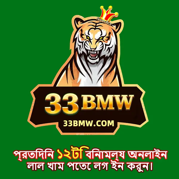 33bmw APK